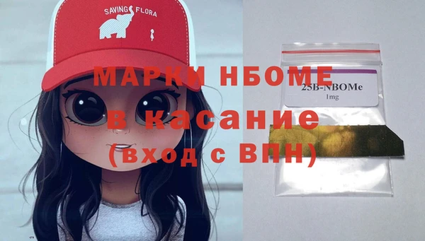 соль ск Няндома