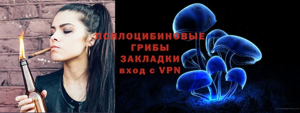 apvp Осташков
