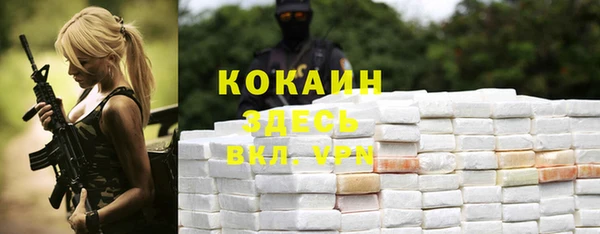 ГАЛЛЮЦИНОГЕННЫЕ ГРИБЫ Осинники