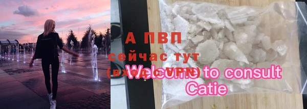 apvp Осташков