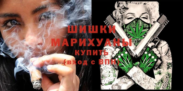 apvp Осташков