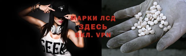 ГАЛЛЮЦИНОГЕННЫЕ ГРИБЫ Осинники
