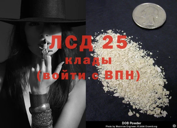 ГАЛЛЮЦИНОГЕННЫЕ ГРИБЫ Осинники
