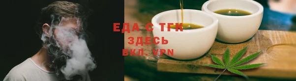ГАЛЛЮЦИНОГЕННЫЕ ГРИБЫ Осинники