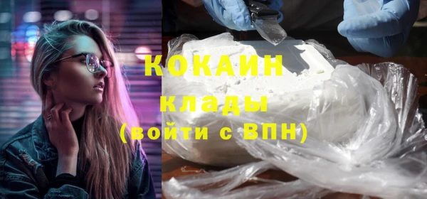 ГАЛЛЮЦИНОГЕННЫЕ ГРИБЫ Осинники